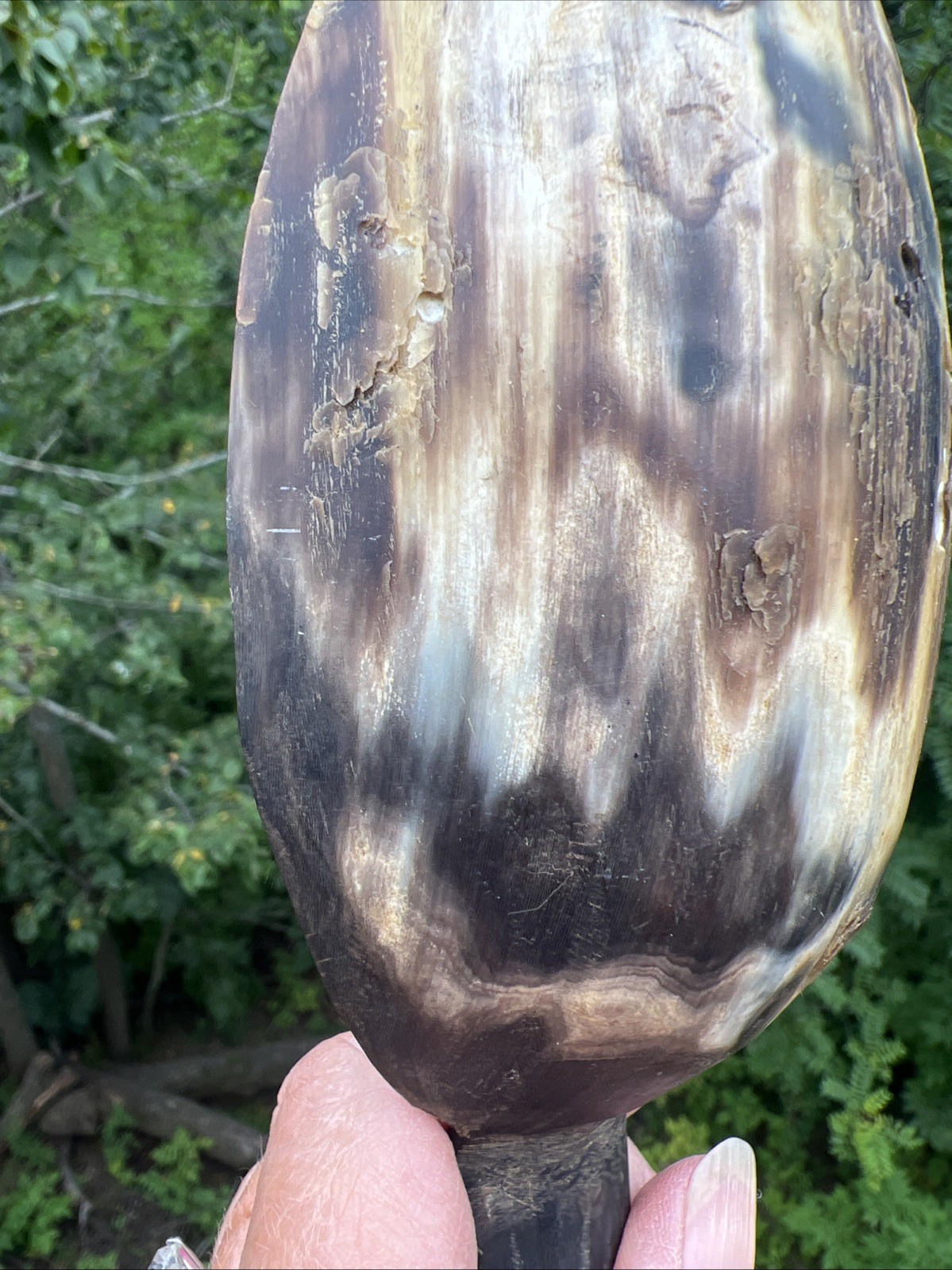 Original Native American Indian Hand carved Goat Horn Spoon; Late 19th Cent.