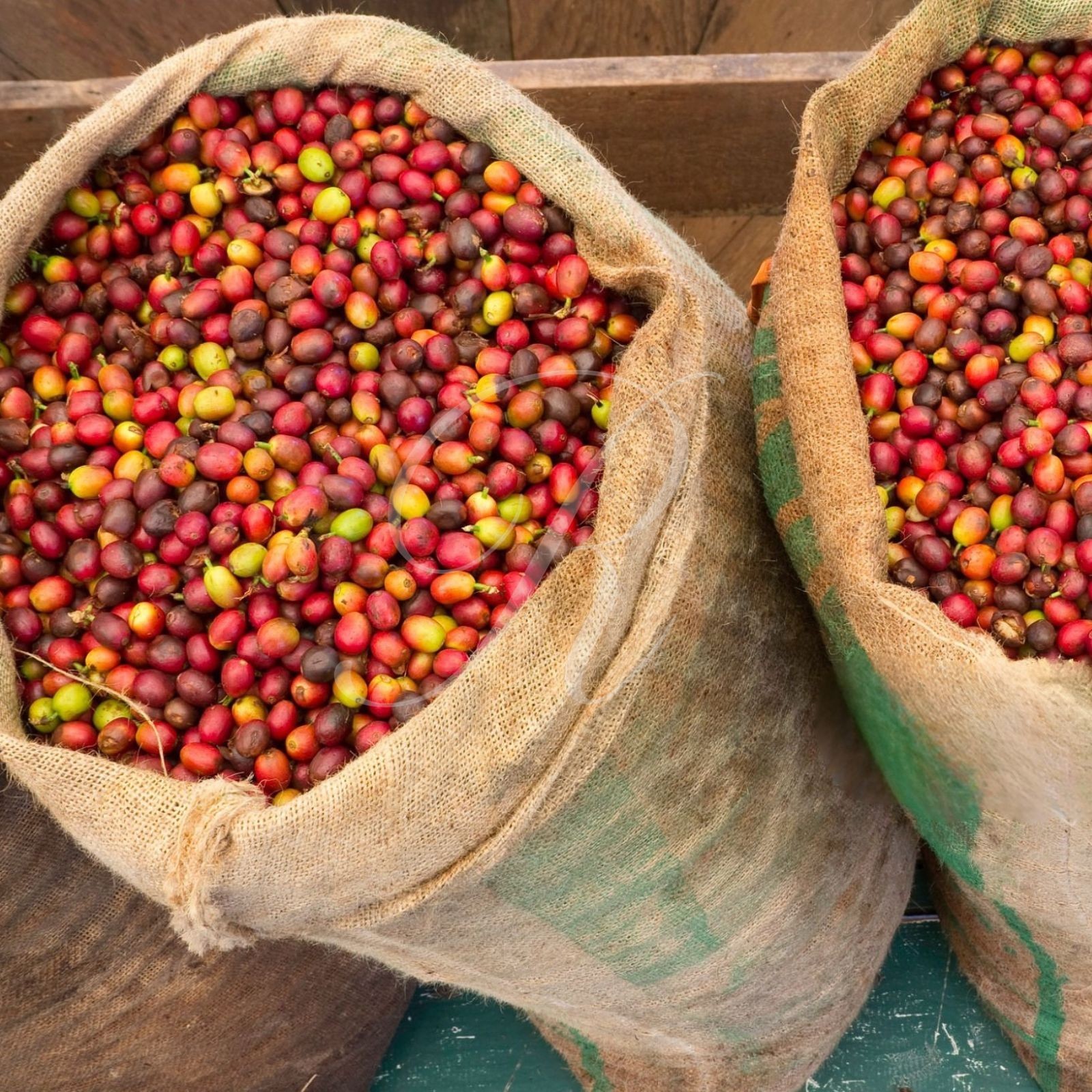 100% HAWAIIAN KONA COFFEE, GENUINE, FRESH ROASTED TO ORDER , 1-20 LBS X 1 LB BAG