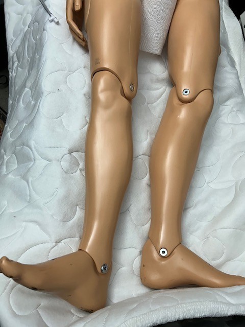Gaumard Simple Susie Nursing Care Training Patient Simulator Manikin Mannequin