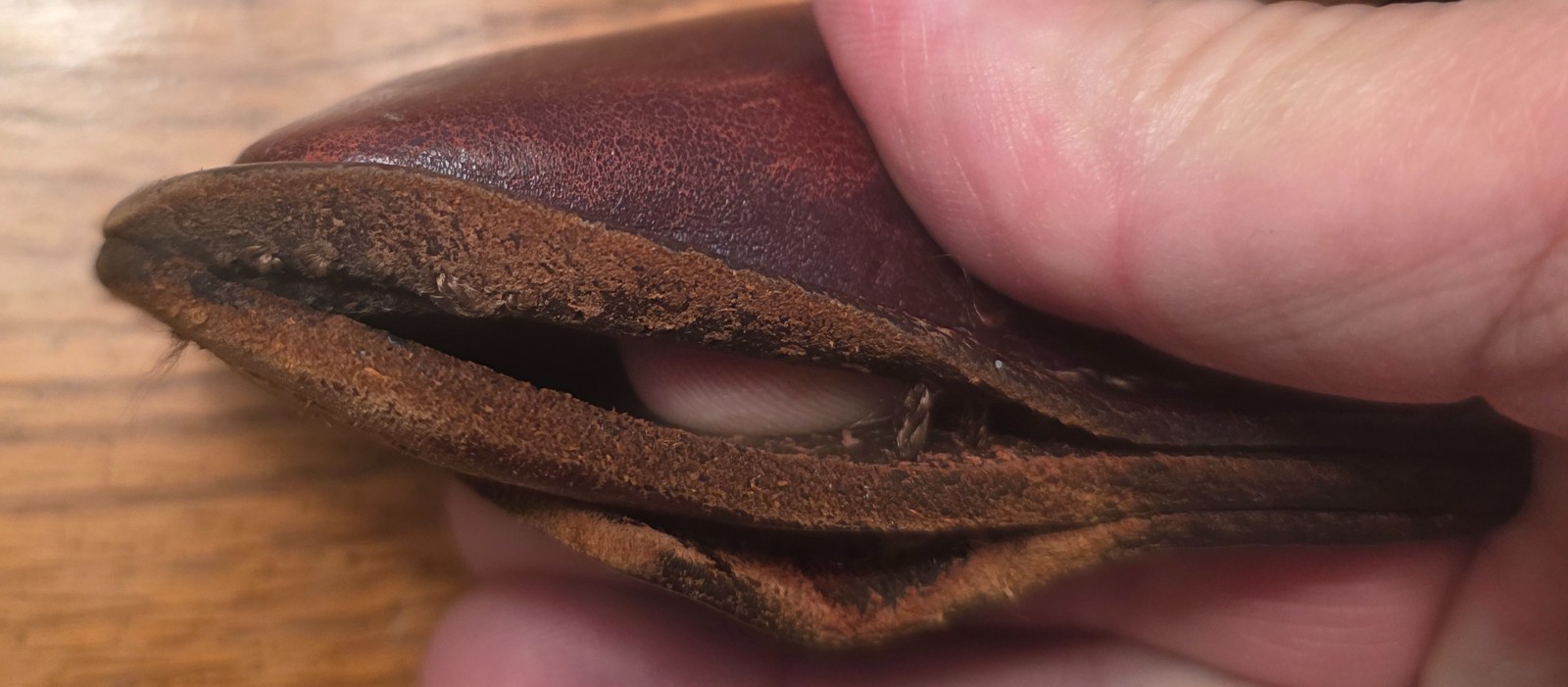 3 7/8" Long Buck Alpha Hunter 277T BOS AT-34 Folding Knife & Sheath, Used