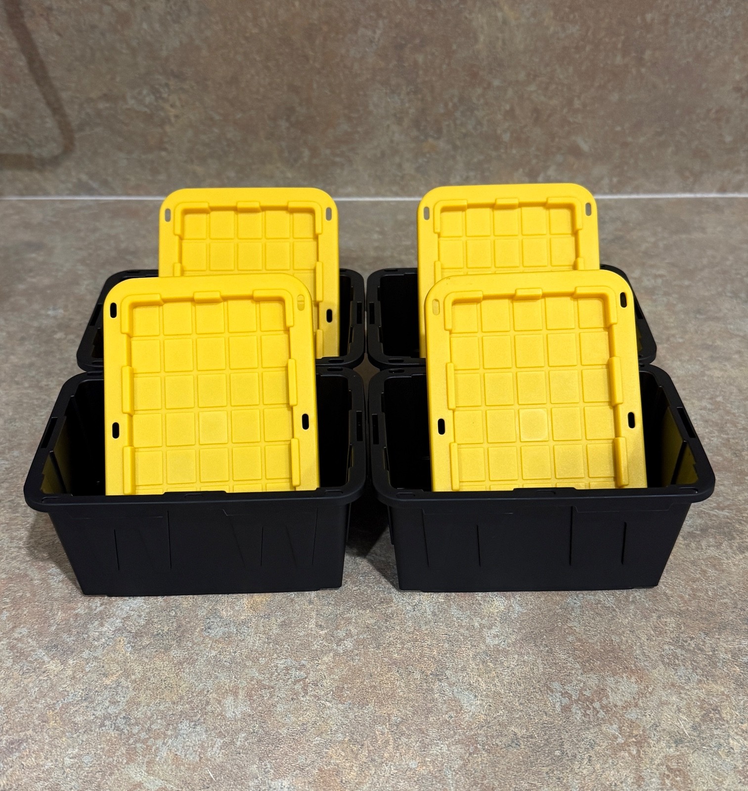 Lowe’s Teeny Tiny Tote Mini Storage Containers with Lids Set of 4