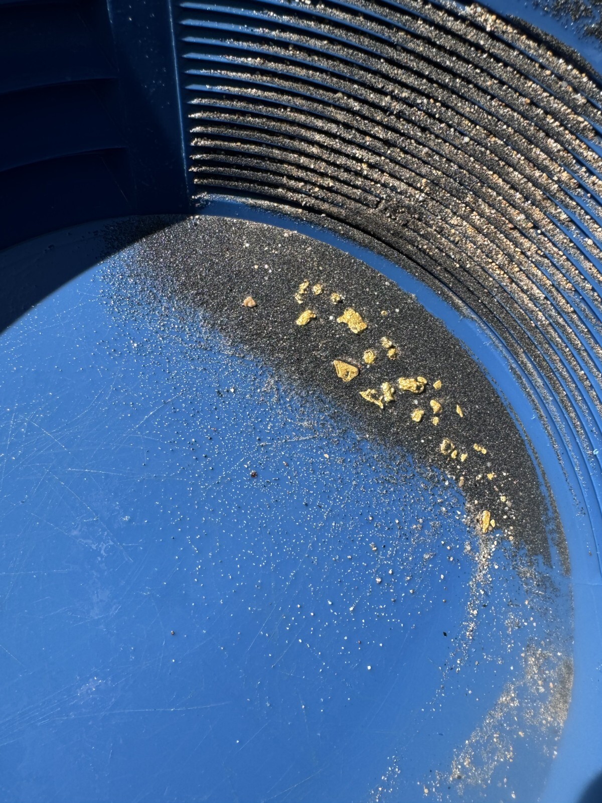 Presidential 10 Gram Gold Nugget Hunt Rich Unsearched Paydirt With Added Gold