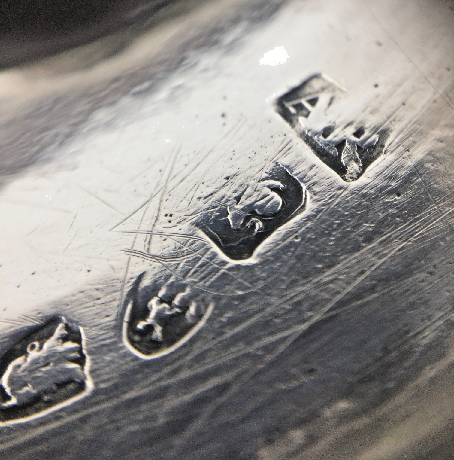 Antique English George III Appolone RUDKINS Sterling Silver Coconut Goblet