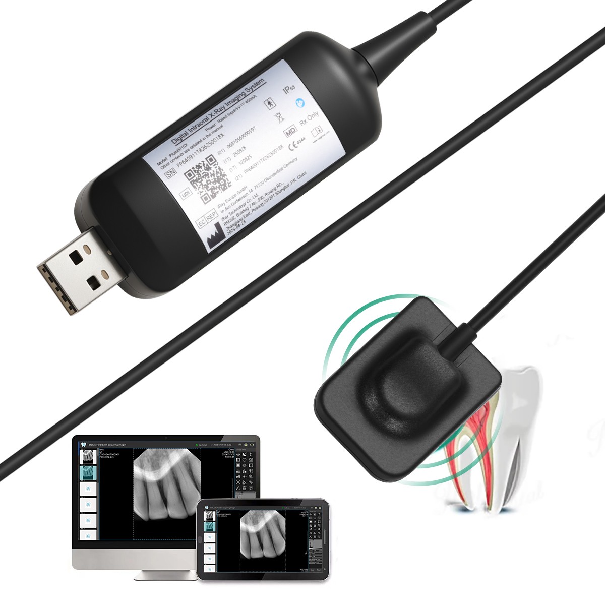 USA Dental X-Ray Positioner Digital Xray Sensor Holder Film Positioning System