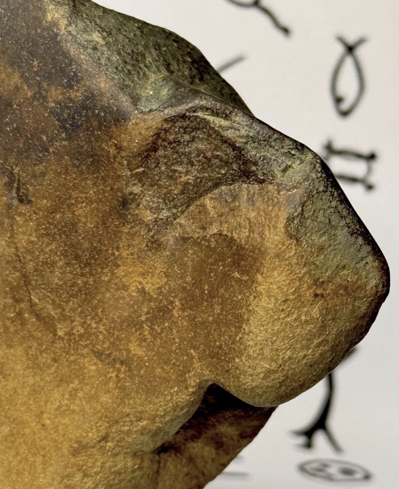 Native American Indian Authentic Artifact Stone Carved Effigy, 1 lb 3 oz • VA