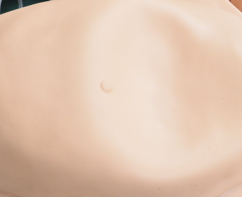 Gaumard S550/S551 Noelle Maternal & Neonatal Care Birthing Simulator