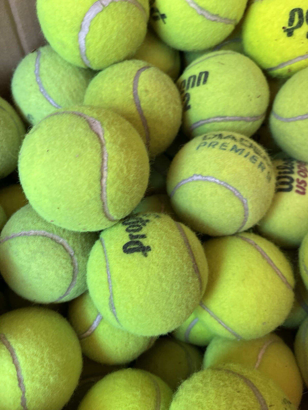 10 of Good Grade used Tennis Balls from Wilson, Dunlop, Penn, Head, etc Dog Toys