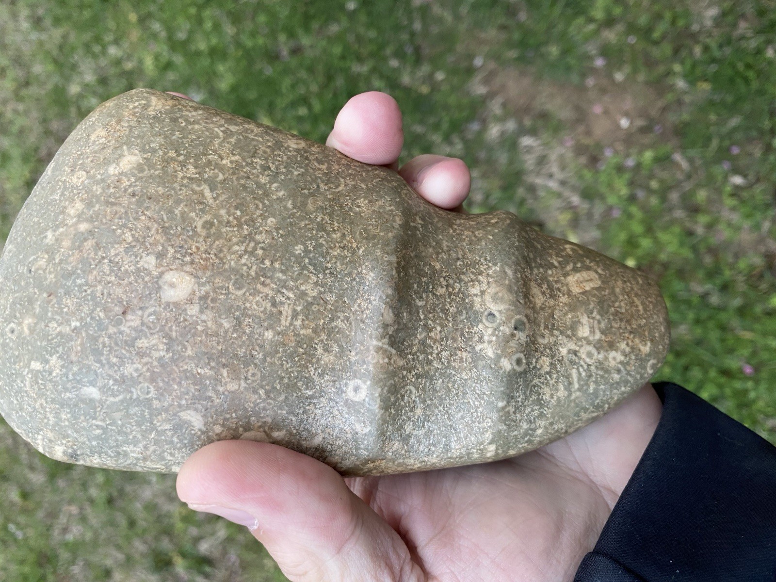 Native American Stone Axe Head