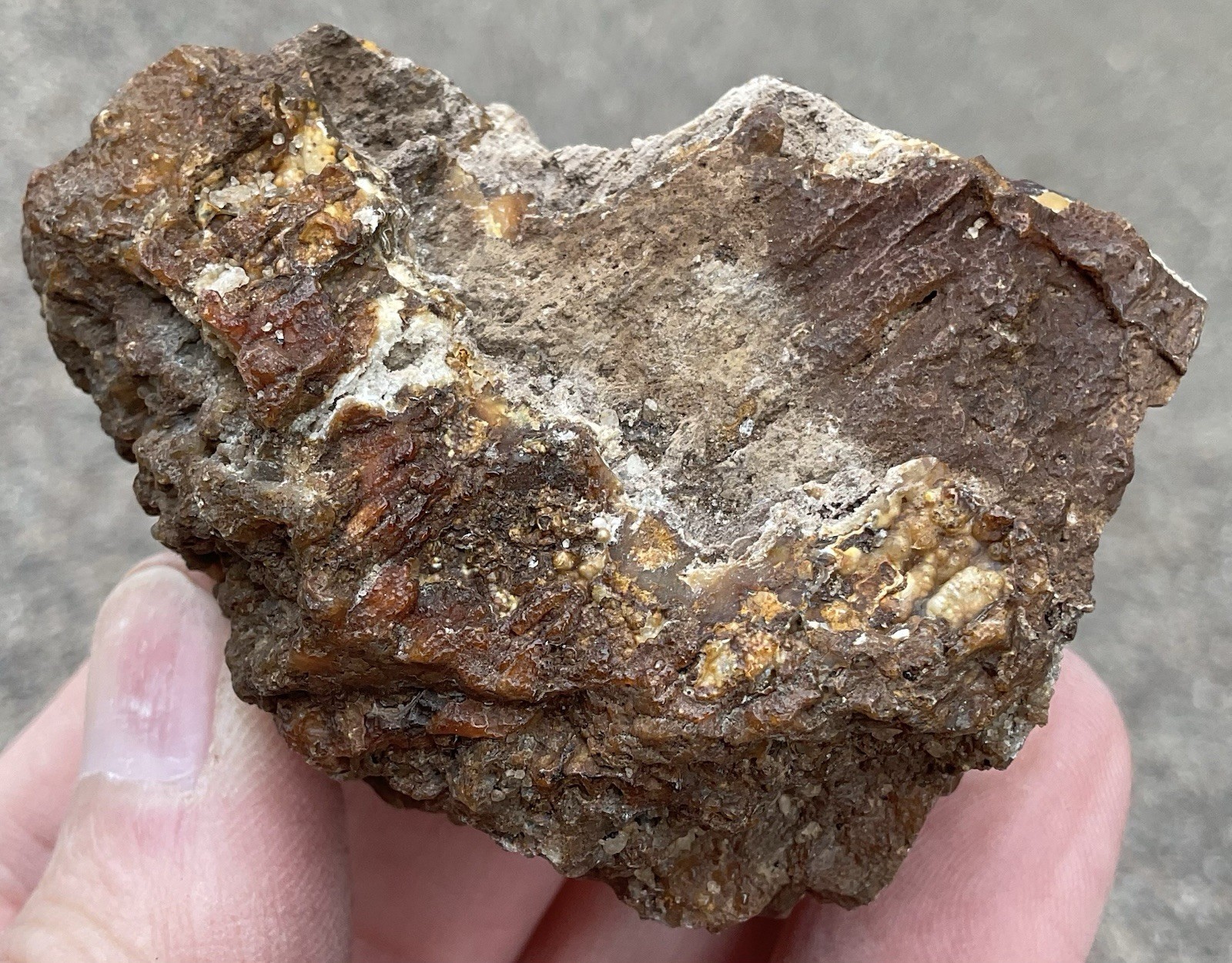 103g Botryoidal Agatized Coral Fossil Chalcedony Stalactite Florida