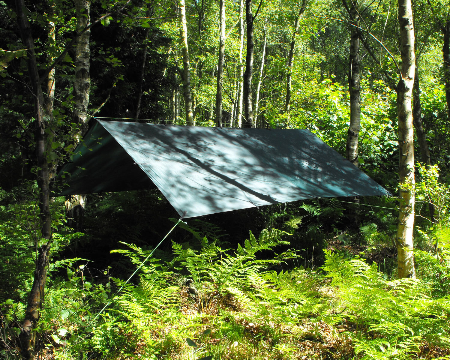 DD Tarp 3x3: Lightweight Waterproof Tough Shelter for Camping Bushcraft & Hiking