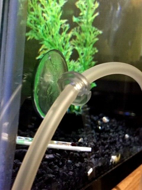 10X AQUARIUM CLEAR AIR LINE SUCTION CUPS STANDARD SIZE TUBING