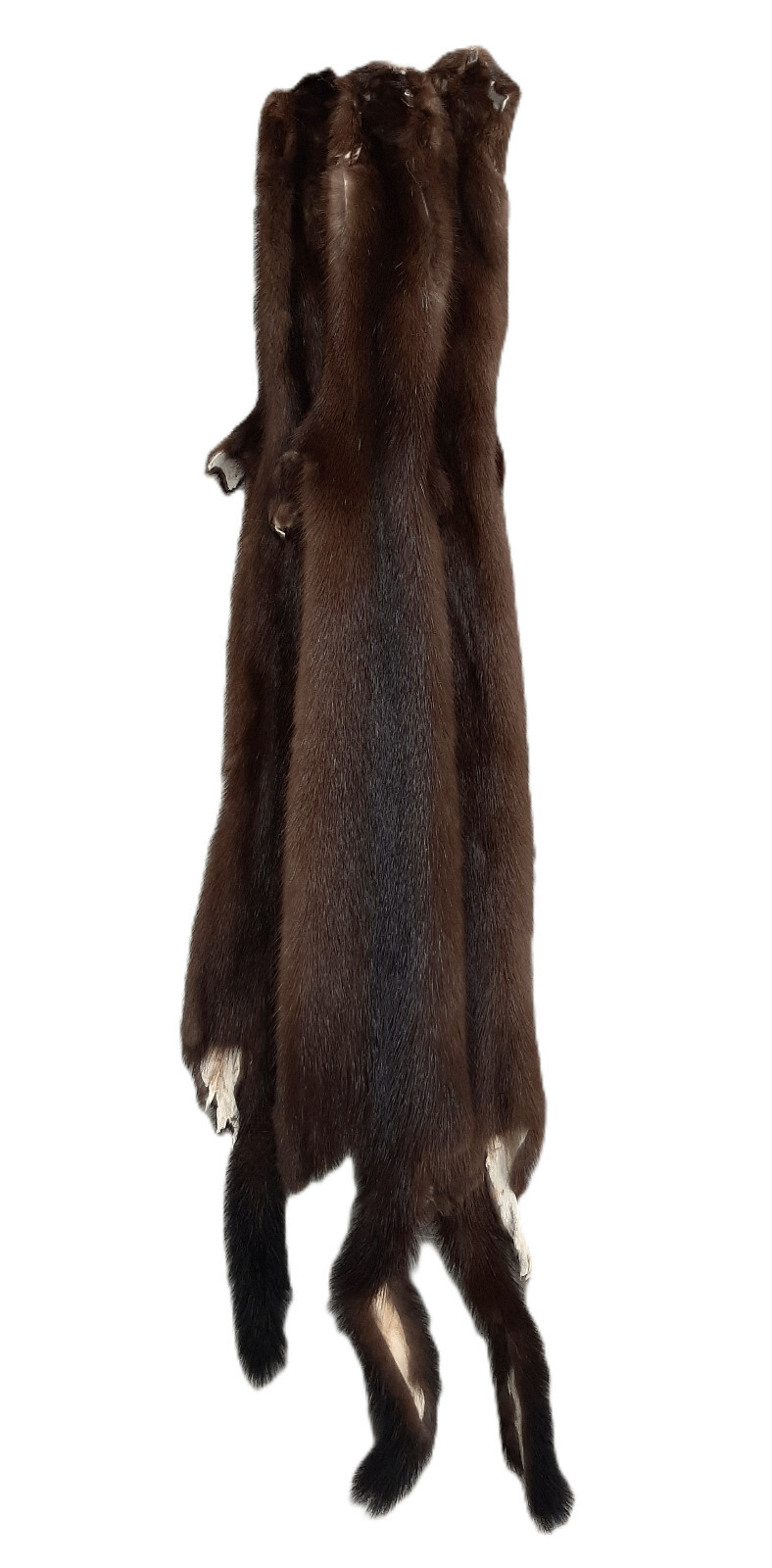 Female Wild Mink Pelt, Highly Desirable Fur & Best Tan in the Business