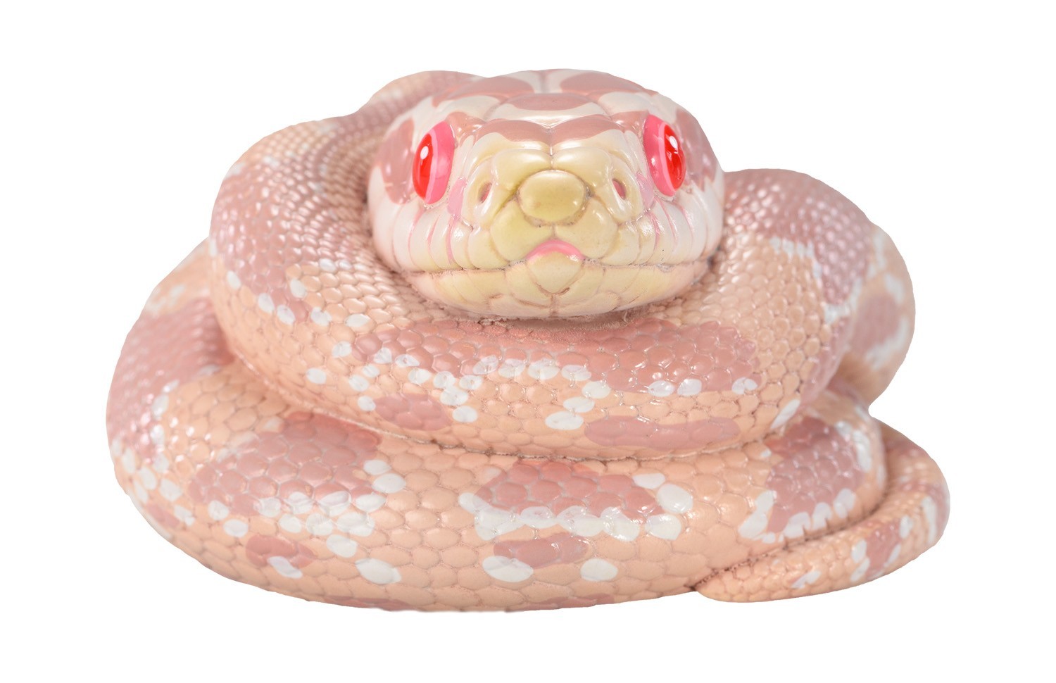 Animal Heavenly Body Corn Snake Coral Snow morph Statue Pantherophis guttatus