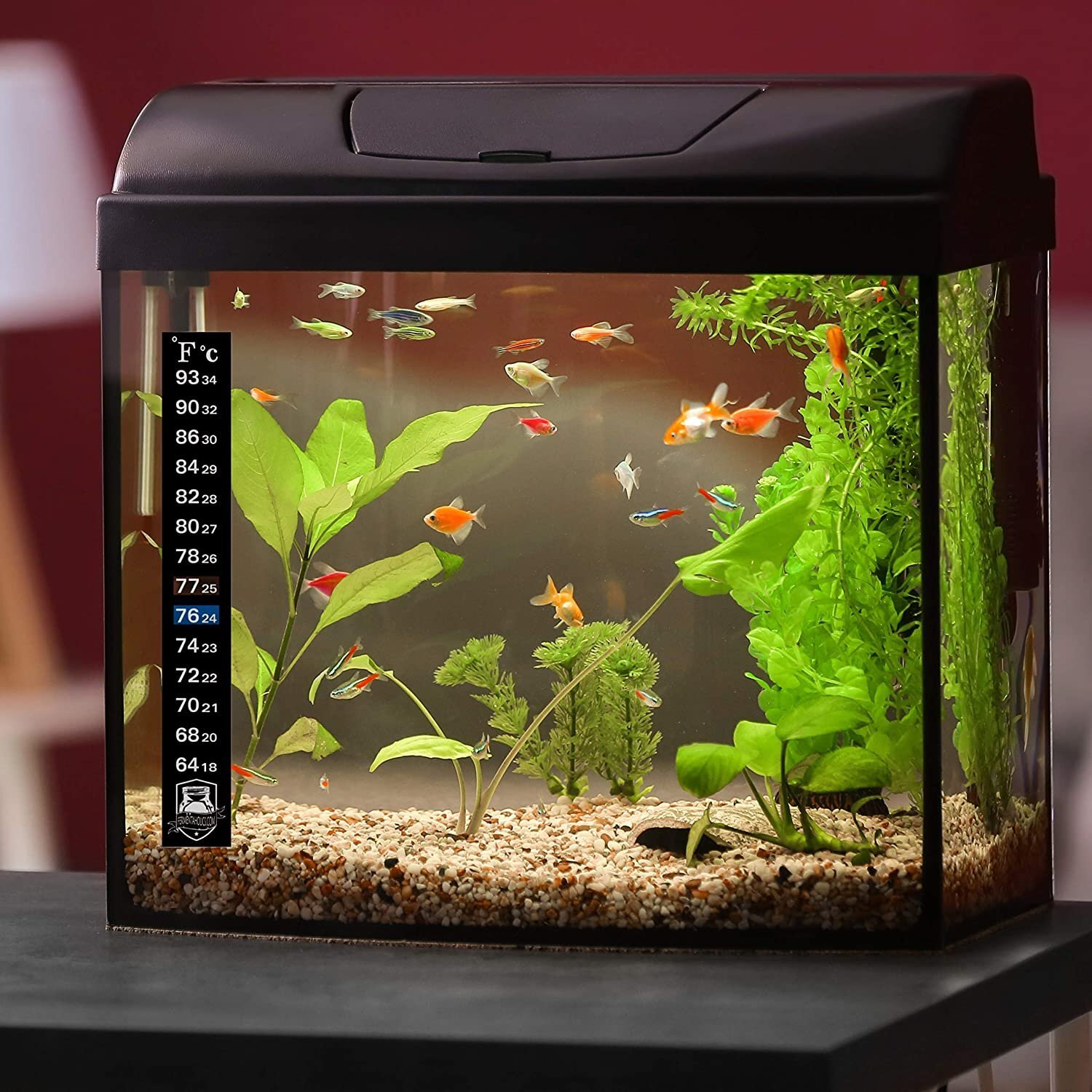 3 Pack Kombucha Fermentation Adhesive Strip Thermometer