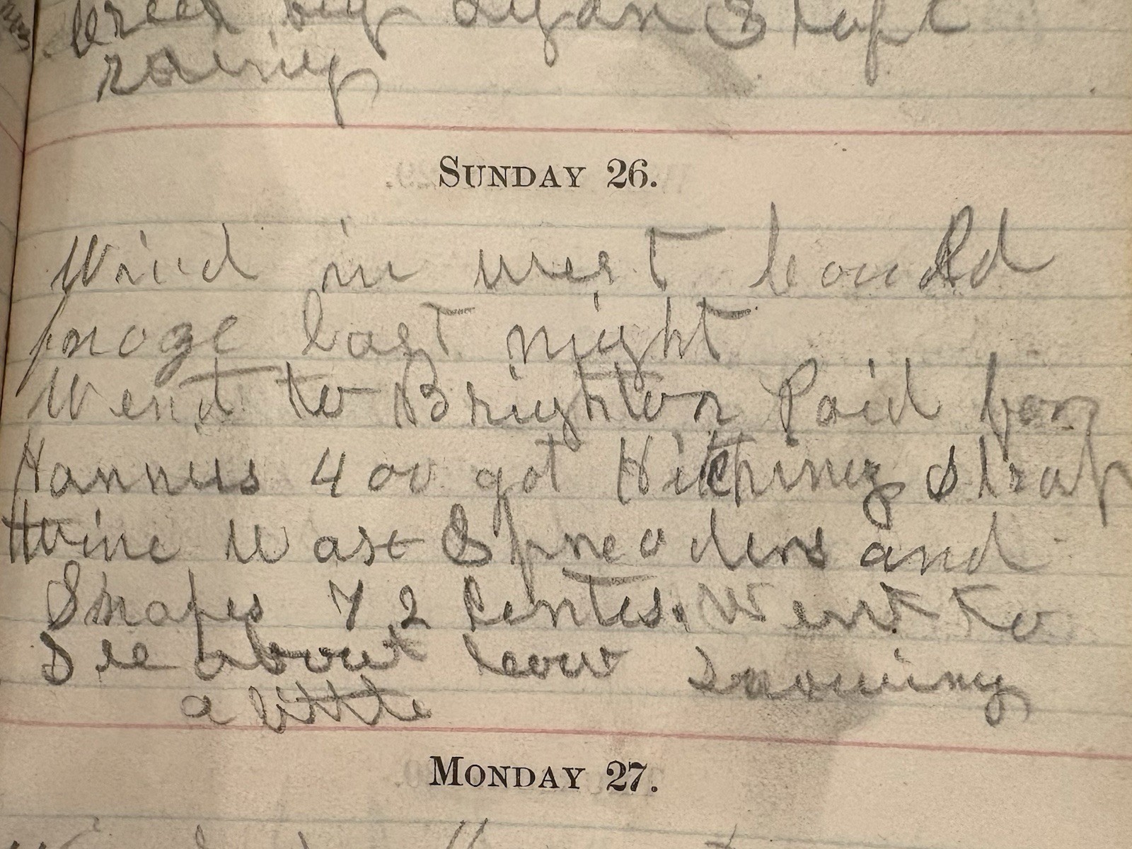 Excelsior Diary 1876 Hand Written Leather Rare Original