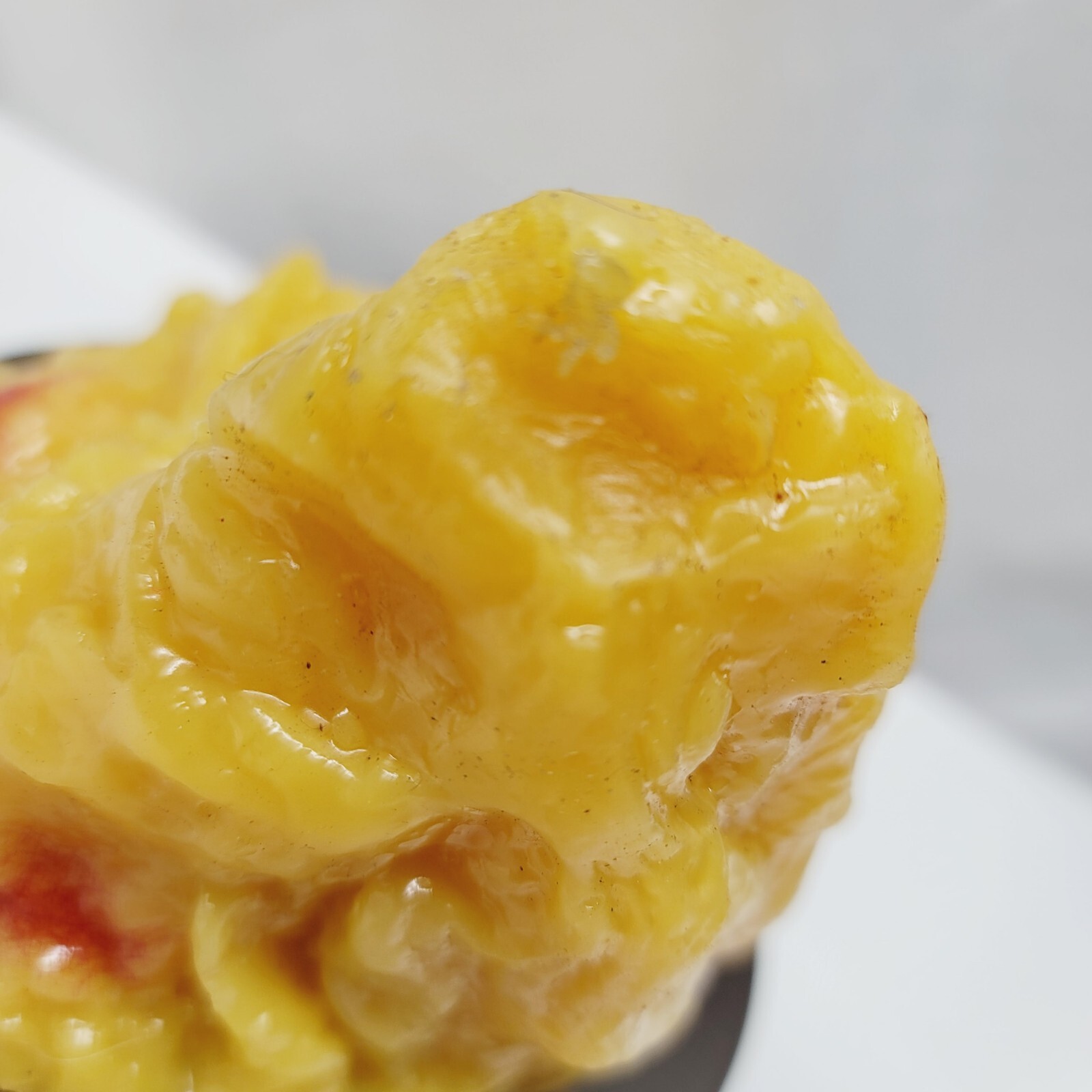 Vintage Human Adipose Tissue Replica Model Of 1lb Of Fat