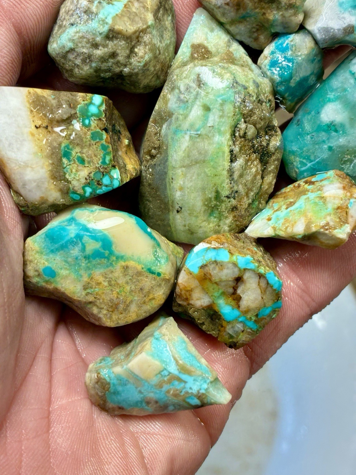 1 Lb of Skinny Turquoise Mountain Nugs! Now Available Again! ￼