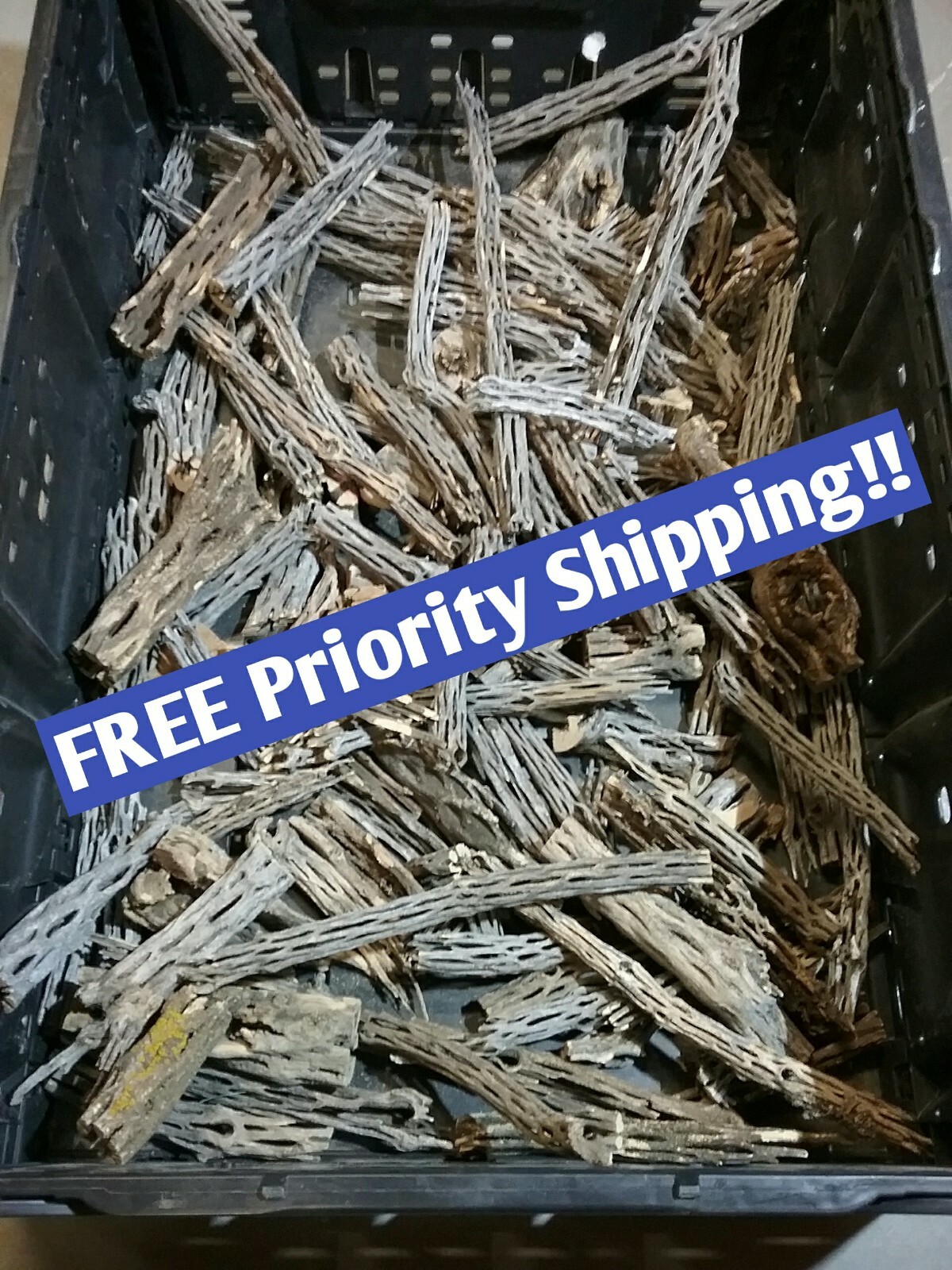 2+ LBS CHOLLA Wood CUTOFFS | Whole Pieces Split Halves Bits | Aquarium, Crafts