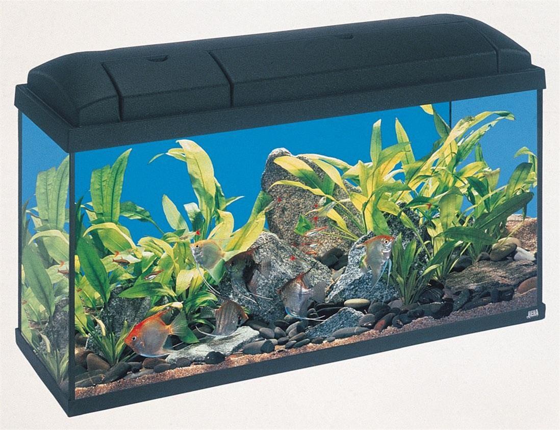 Oxy-Boost Air Pump 35gph single outlet for aquariums size 10-20 gal w/Flow Cntrl