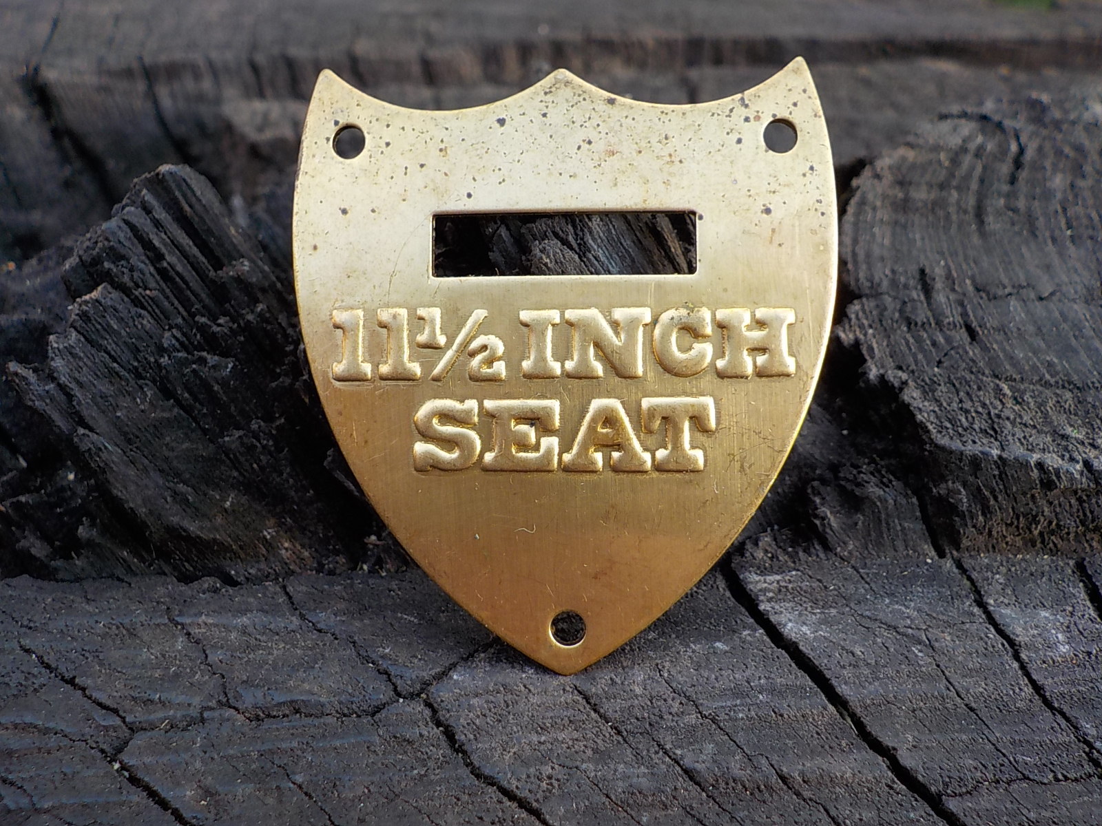 11 1/2 Inch Calvary Saddle Shield with Free Display Case for Display and Protect