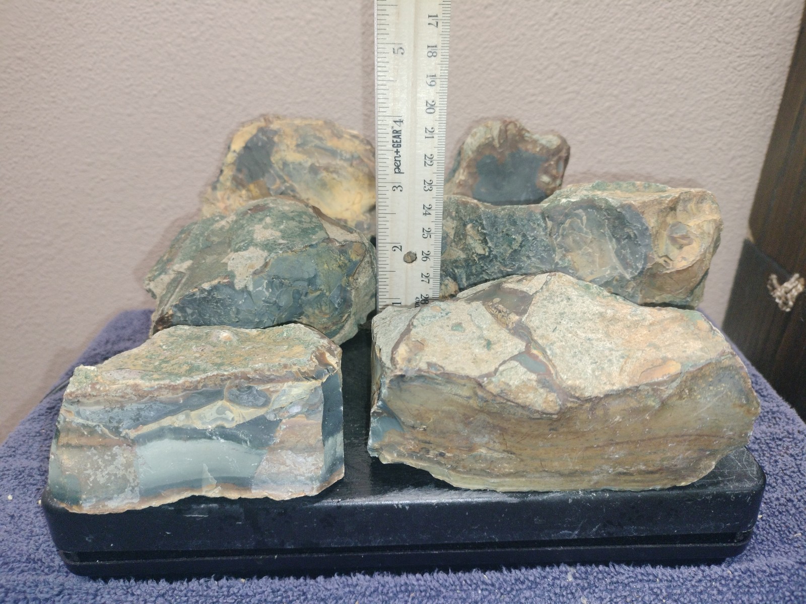 8.7LB ORBS Blue Mountain Picture Jasper Rough 6pc Lot #27