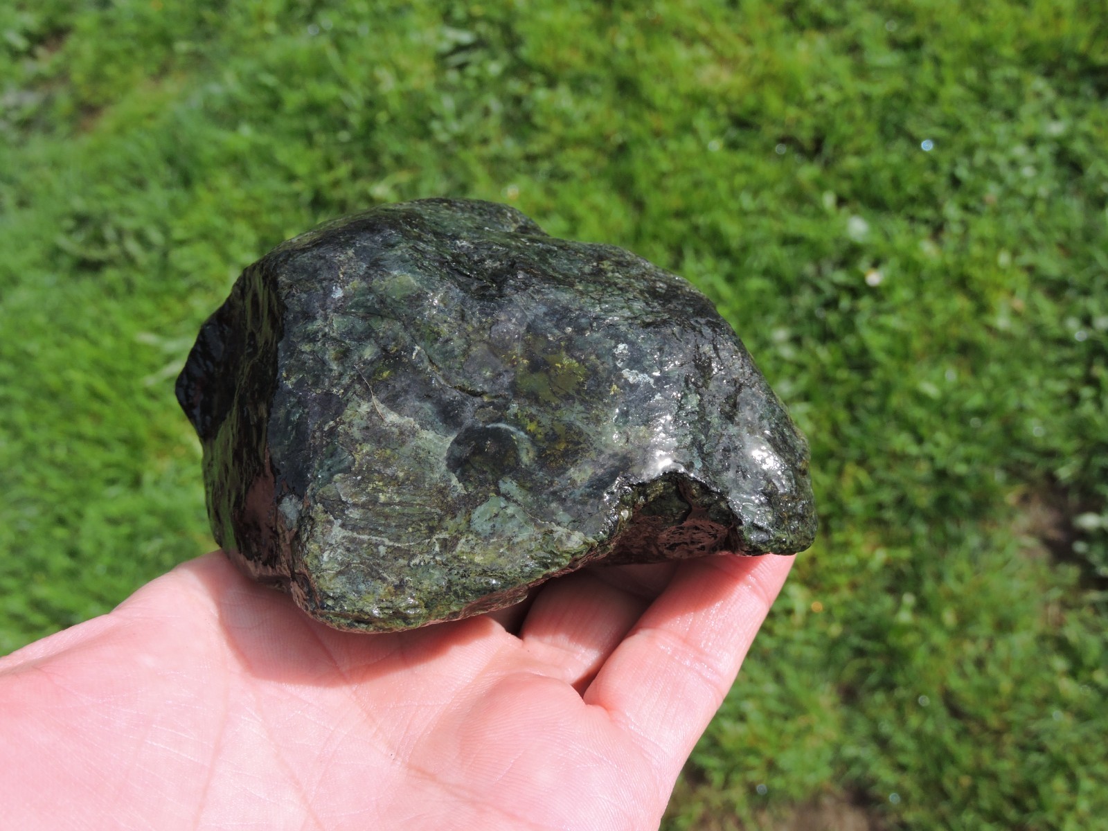 OREGON DARK GREEN SERPENTINE Rough Stones. *MAGNETIC* 100% Natural (8 lb)
