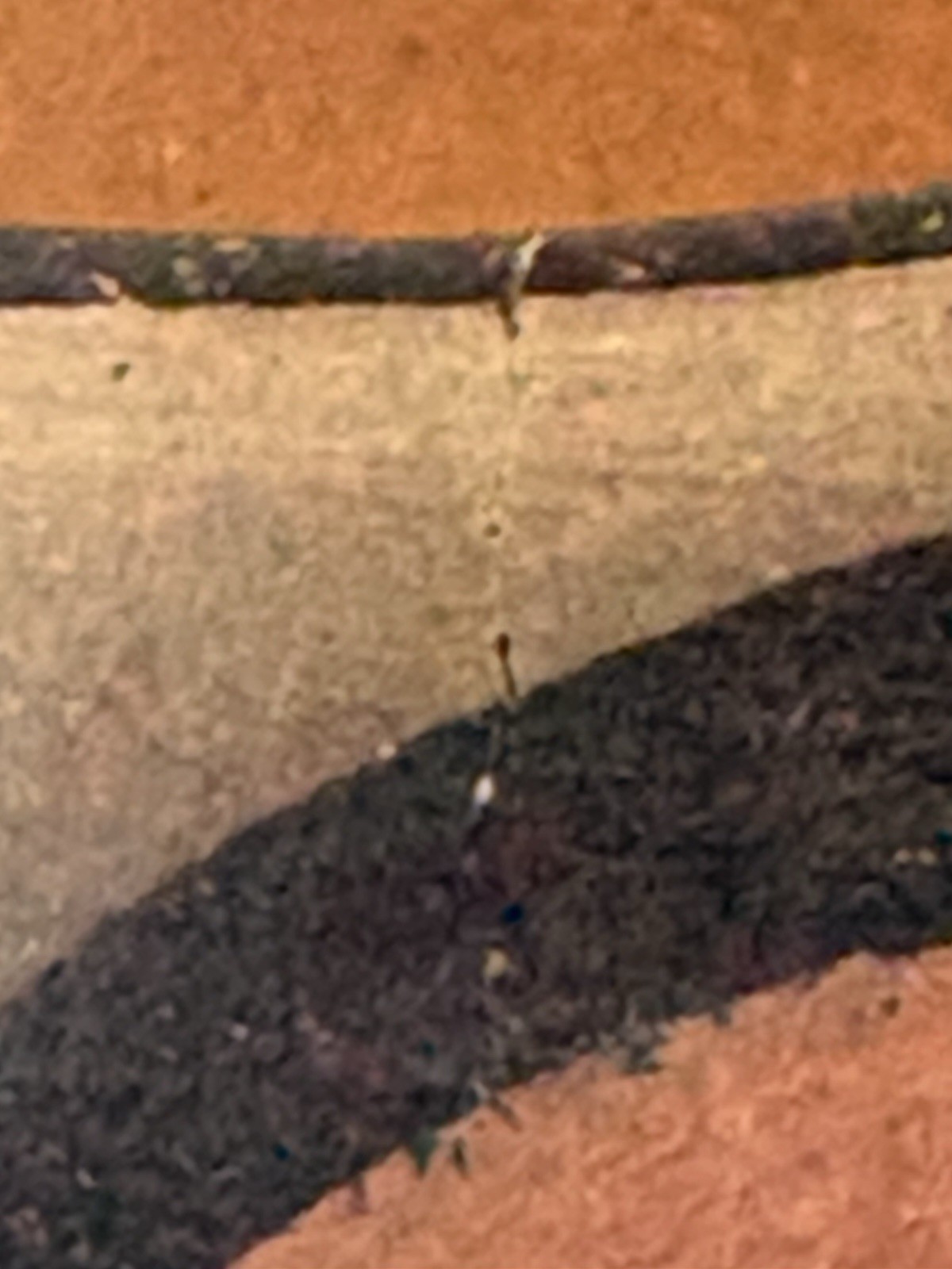 VINTAGE 1928 Santo Domingo Pueblo Pottery Handled Polychrome Basket Kewa 6"