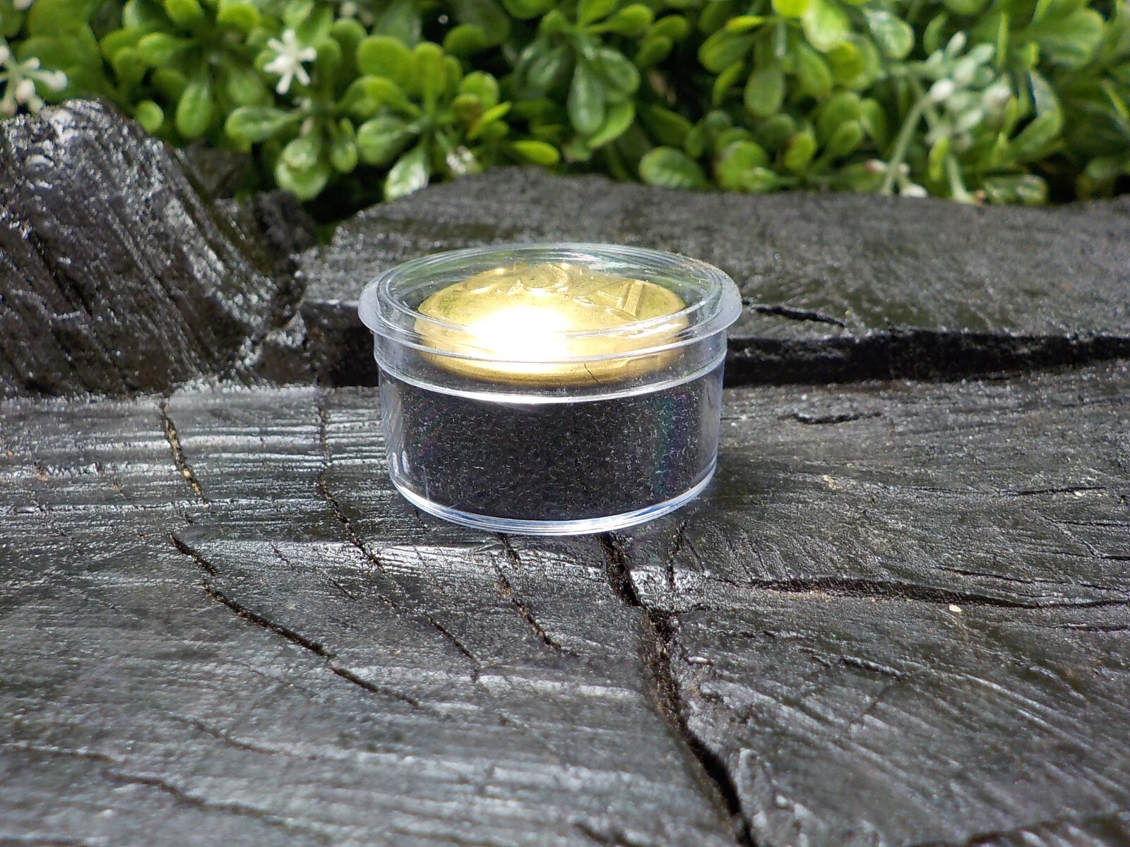 Confederate States of America Coat Button Loaded with Gold Free Button Case