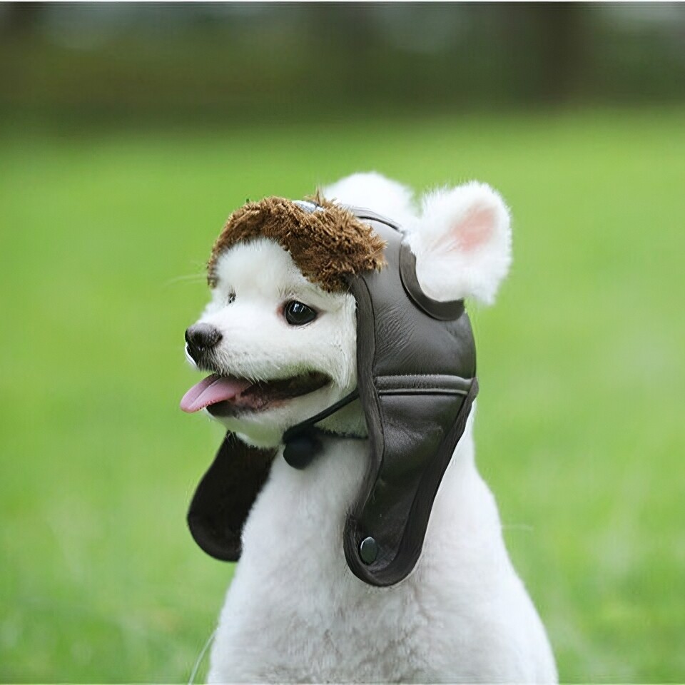 Pet Dog Pilot Hat Puppy Cute Aviator Cap Windproof Spring Autumn Style Costume