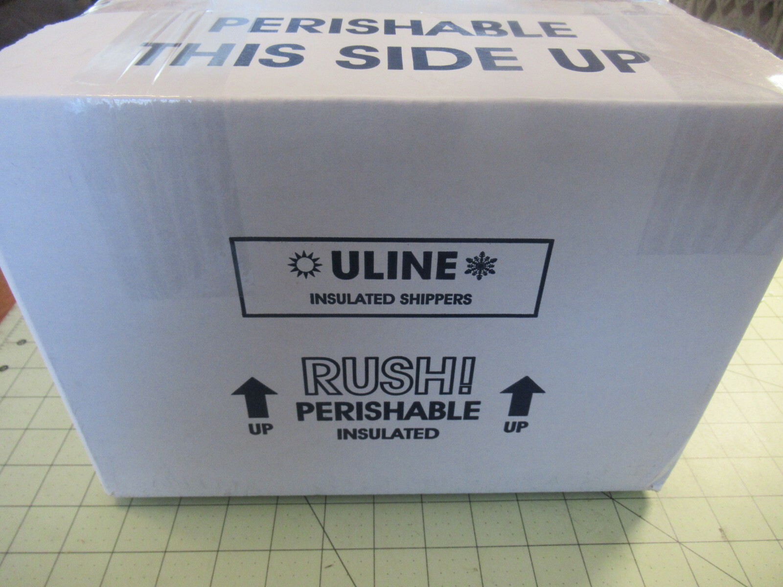 FROZEN BAIT CLAM NECKS SNOUTS PORGY SEA BASS CATFISH SCUP BULK 2 QT FISHING BAIT