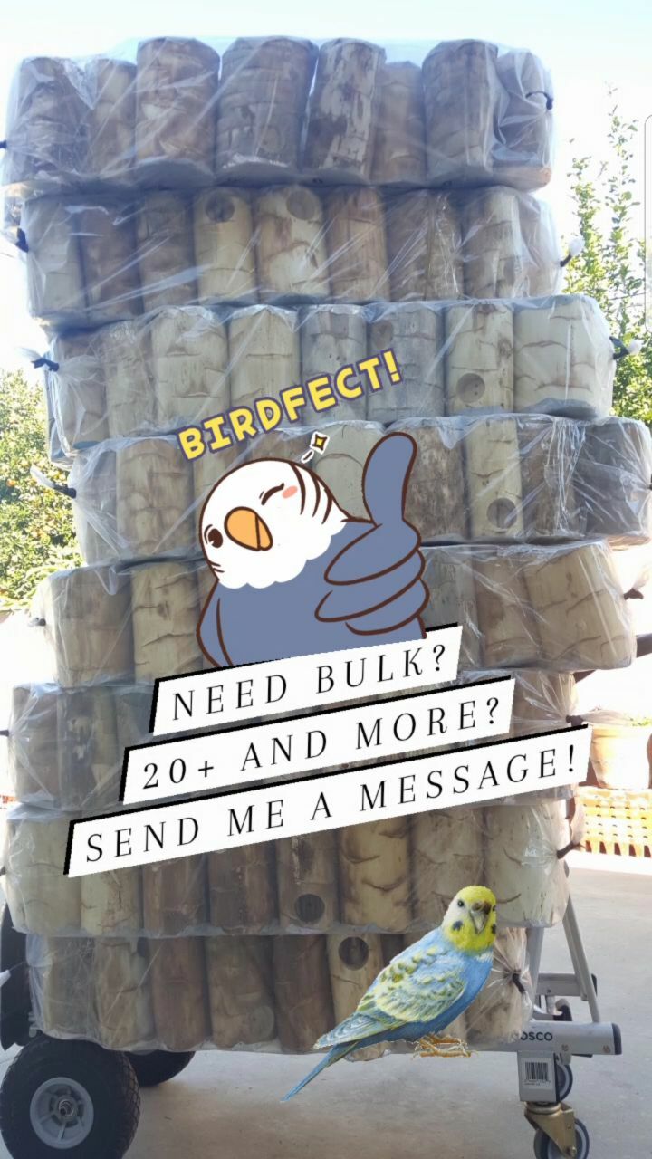 Parakeet Natural Wood Log Nest Chew Toy!!!