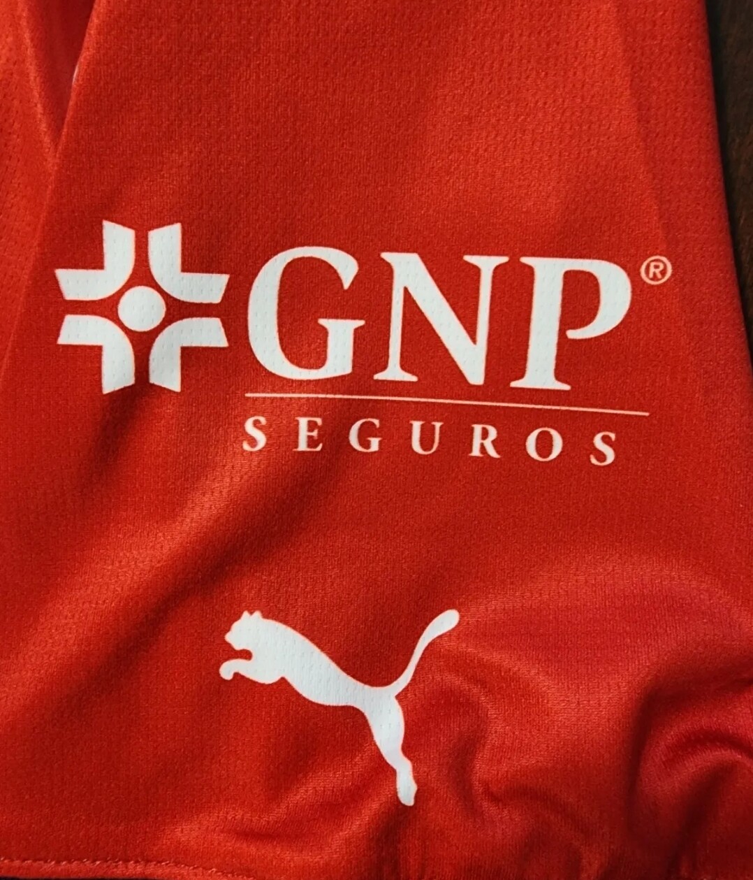 Puma Chivas Rayadas de Guadalajara 2024 home Jersey local Chivas Chicharito 14