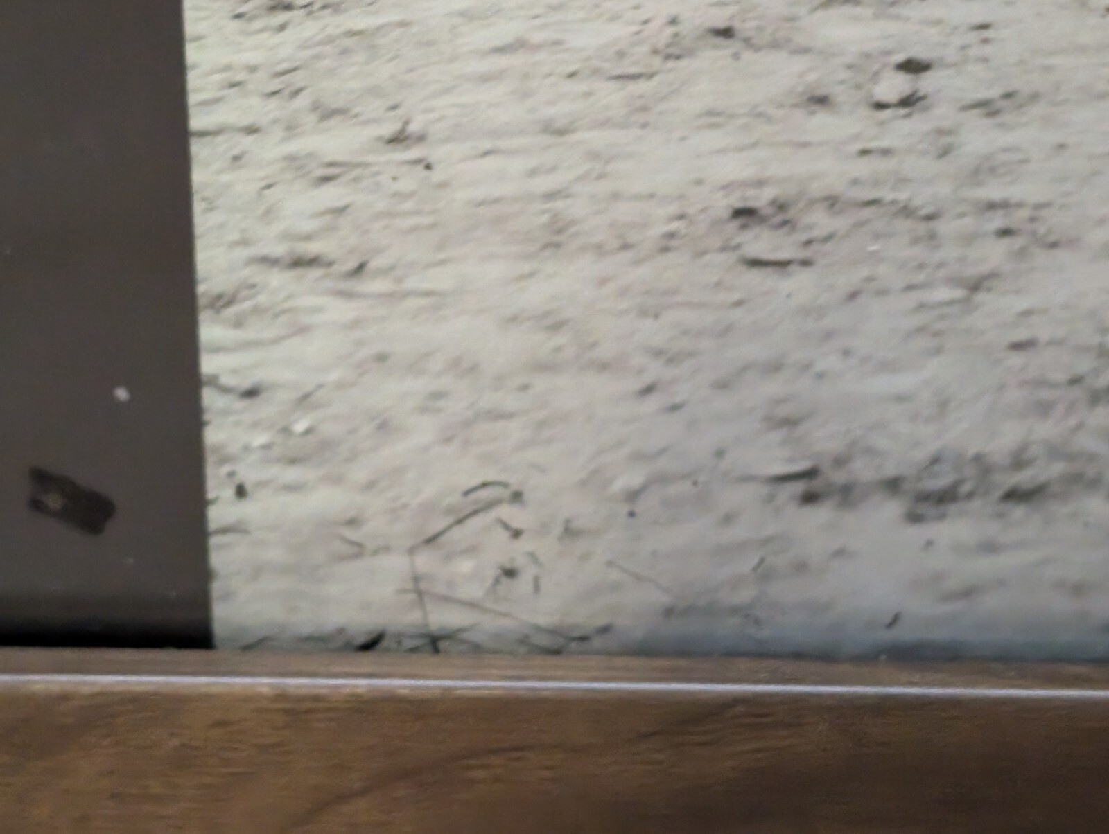 VTG Photo Adams Express For The Army Of The James Civil War Soldiers Framed