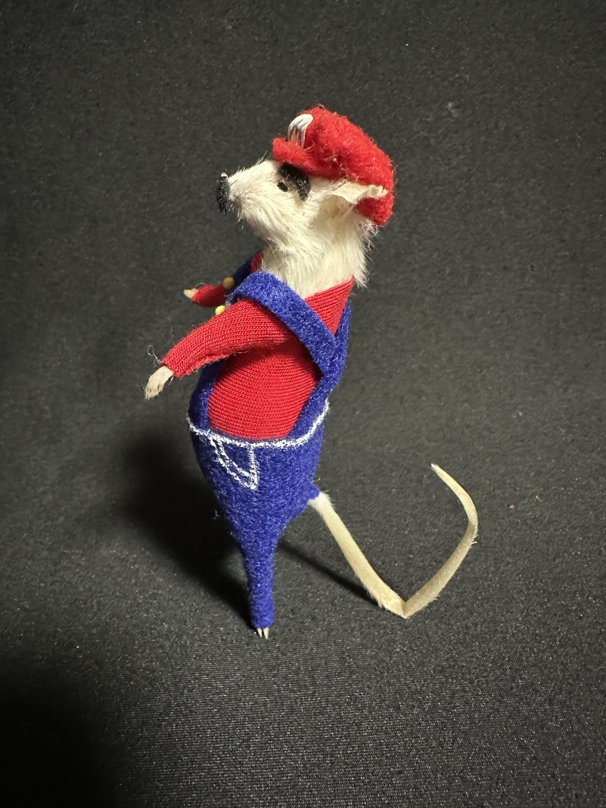 Taxidermy Mouse Super Mario Mouse Oddities Curiosities Taxidermy Art