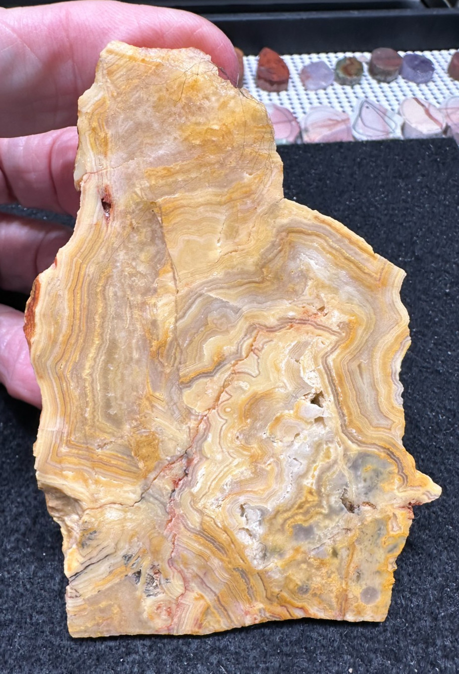 Yellow Crazy Lace Agate unfinished slab, great for cabbing 2.99oz (#1057)