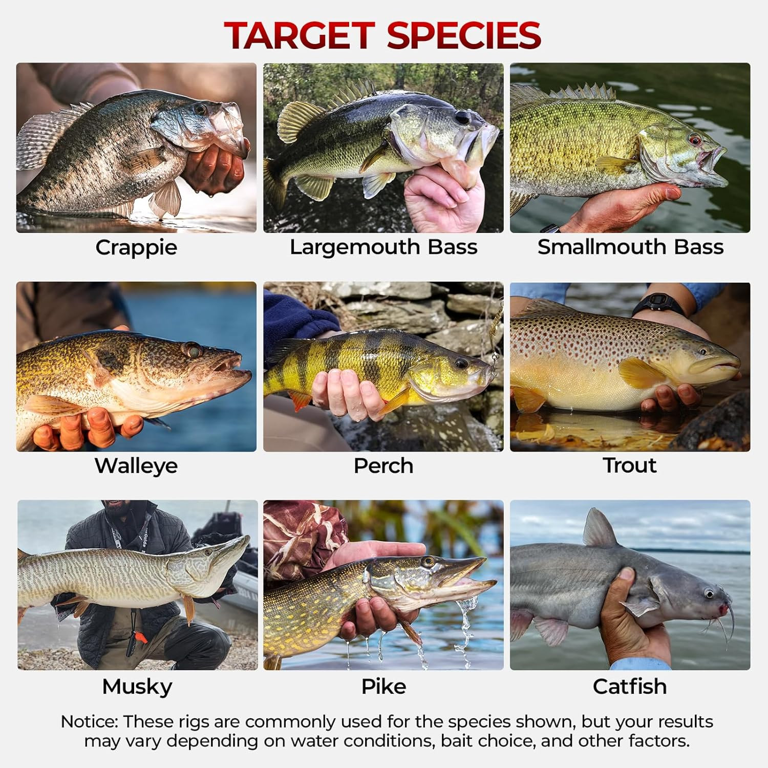 by Kastking 182/265/400Pcs Compact Fishing Tackle Kit - All-In-One Freshwater Ho