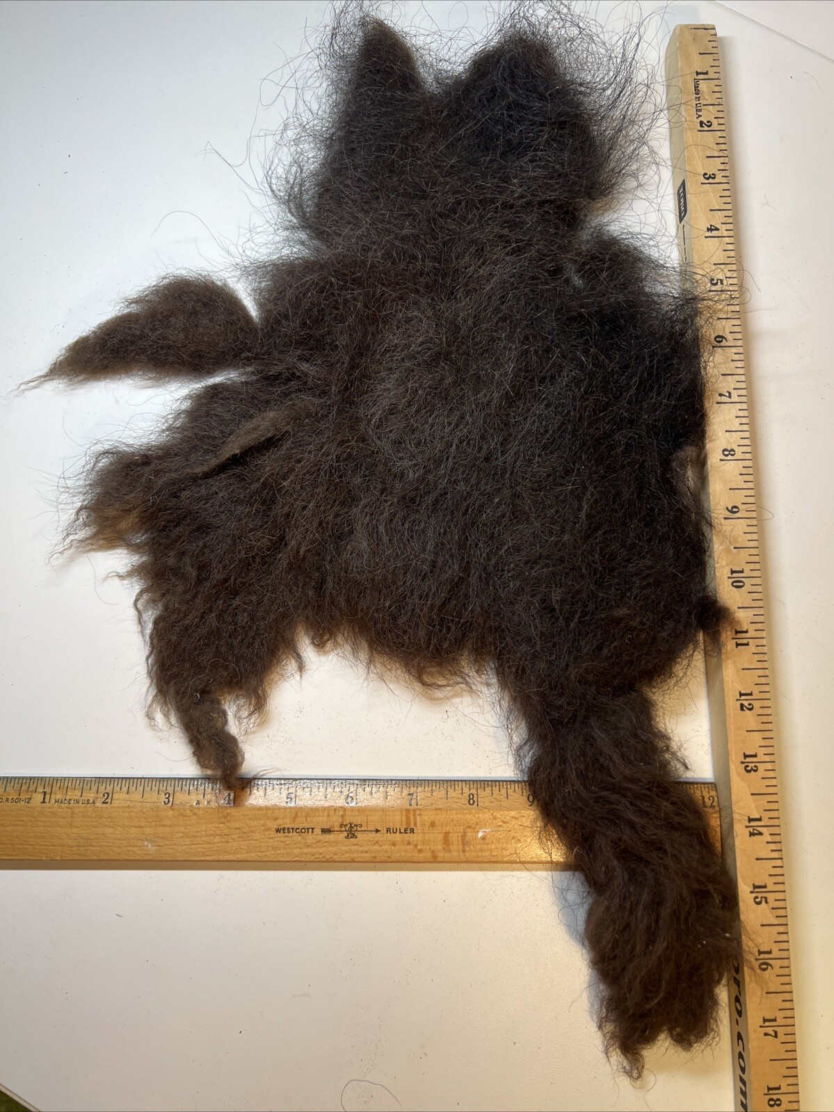 American Bison Buffalo Wool Section 1.6 Ounce