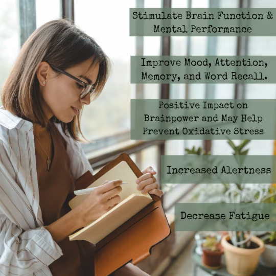 Focus Memory & Concentration | Organic Herbal Extract Tincture | Learning | ADHD