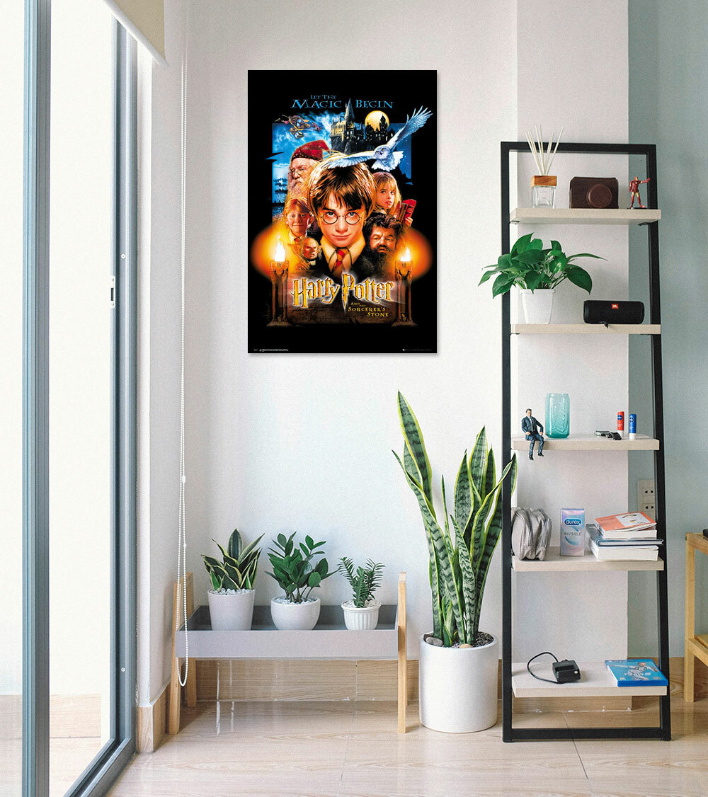 Harry Potter And The Sorcerer's Stone - Movie Poster (Regular Style) (24" x 36")