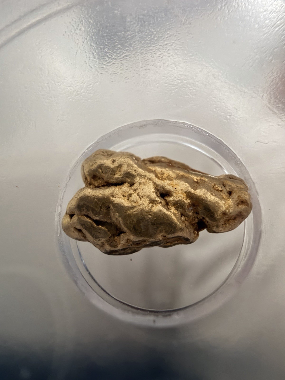 ICG Genuine Gold Nugget 2.44 Grams - Gold Foil Label!