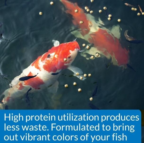 API Cool Water Pond Fish Food 1.40 lb. Bag 197D