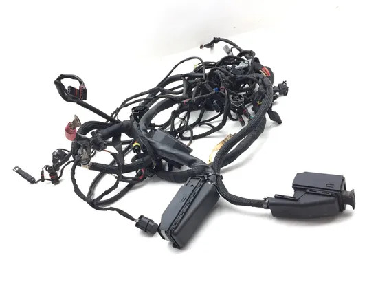 Main Engine Wiring Harness 2009 BMW F800GS 3131