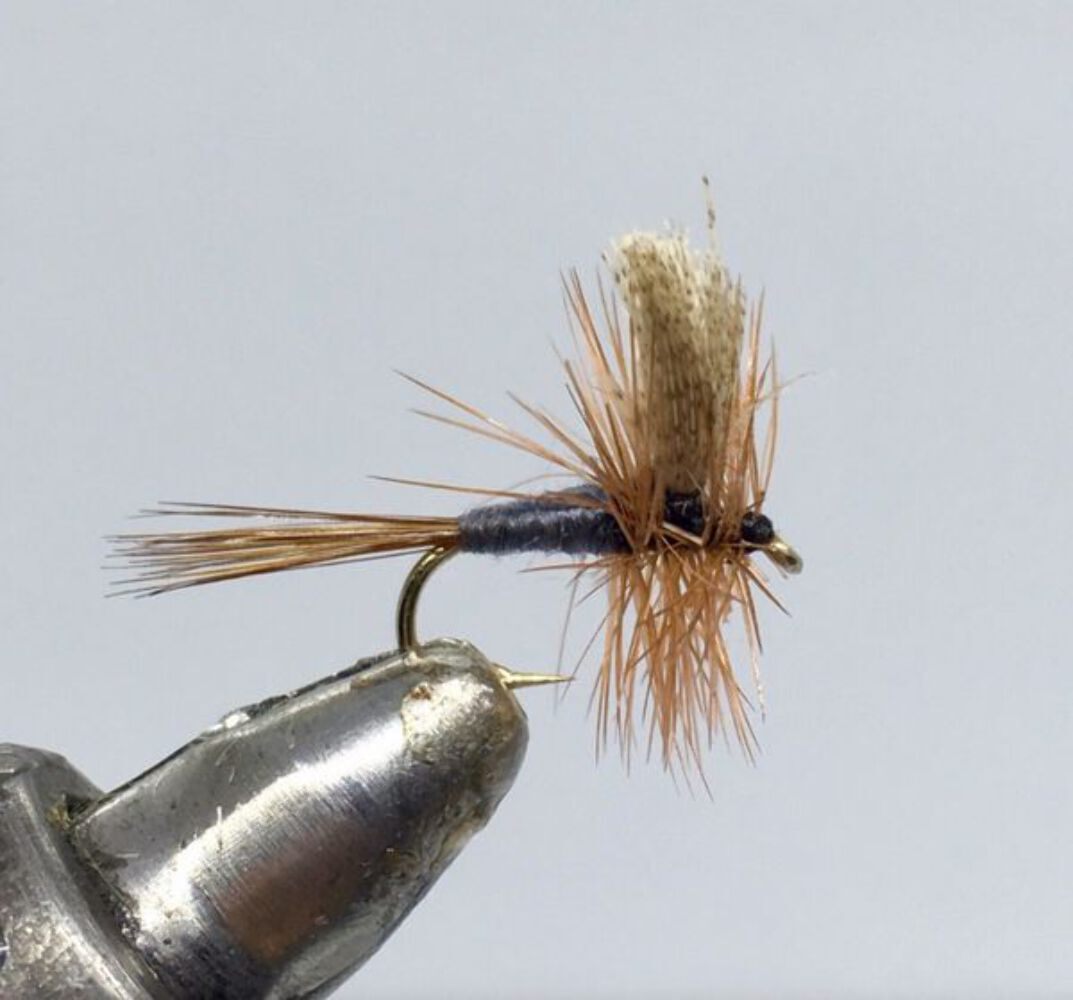 One Dozen (12) - Dark Hendrickson - Dun - Dry Fly