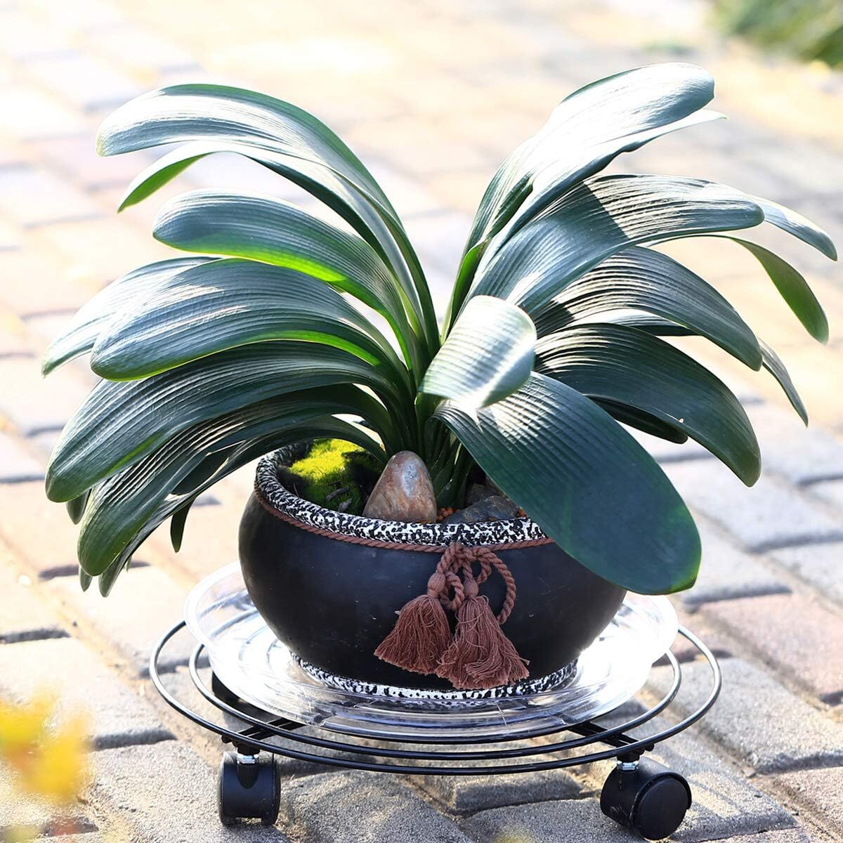 3Packs Metal Plant Caddy Plant Dolly Plant Stand Plant Holder with Wheels 10.5in