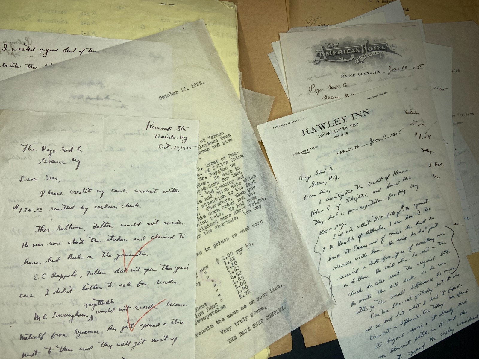 RARE Letter Archive - Traveling Salesman - Page Seed Co Greene, NY 1925 NY, PA,