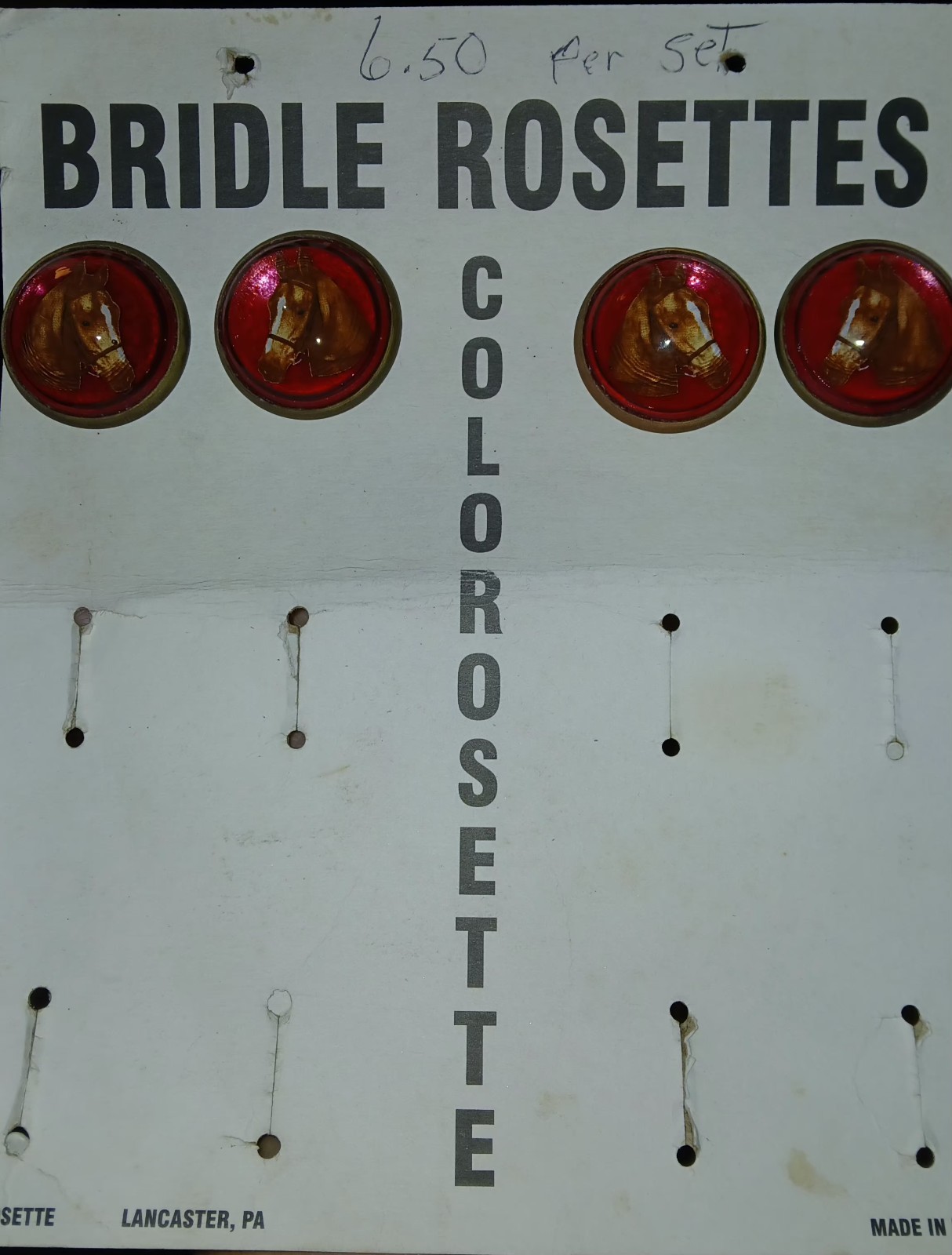 Horse Head Bridle Rosette