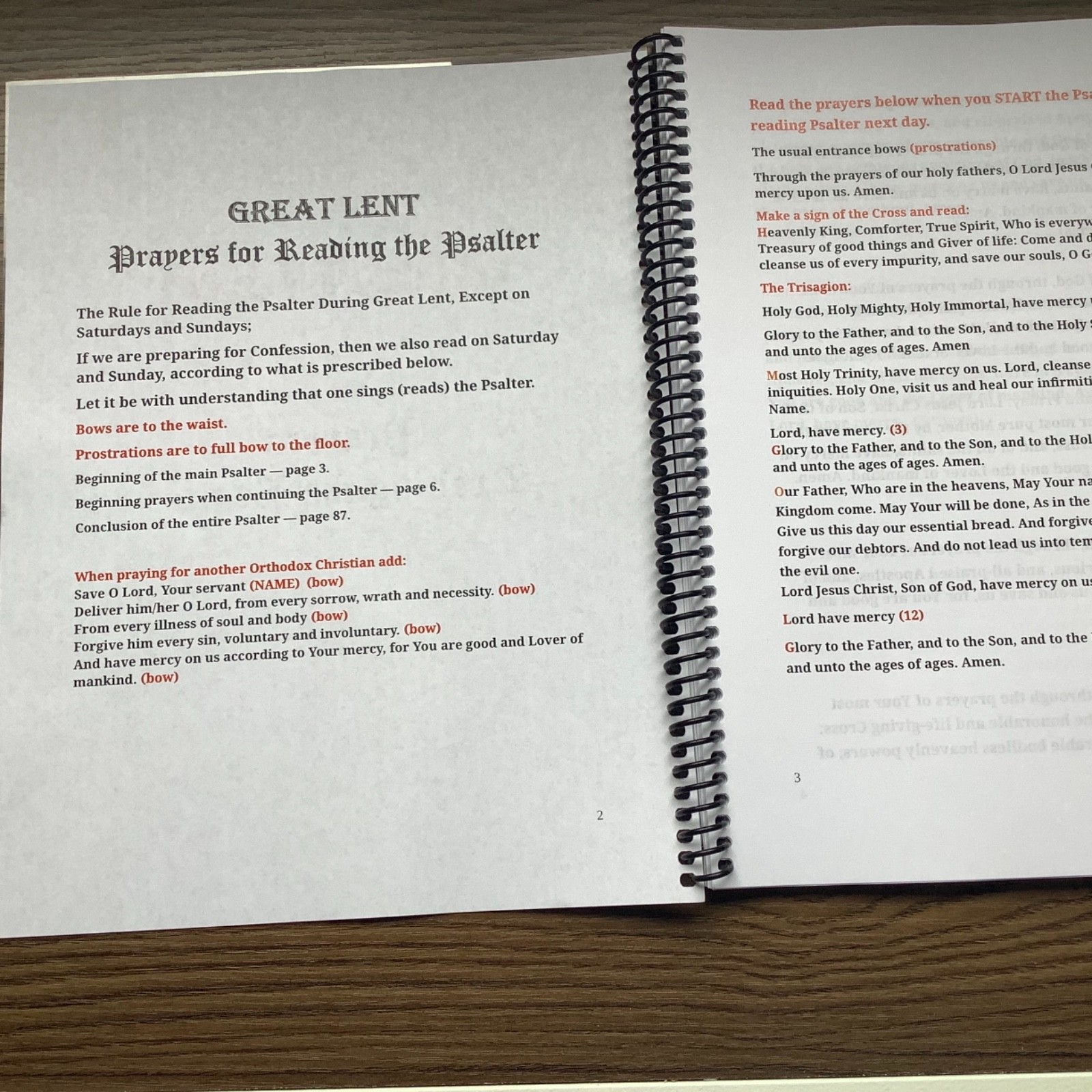 Orthodox Great Lent Psalter Repentance Pentinent Troparia Prayers 8X11 Modern EN