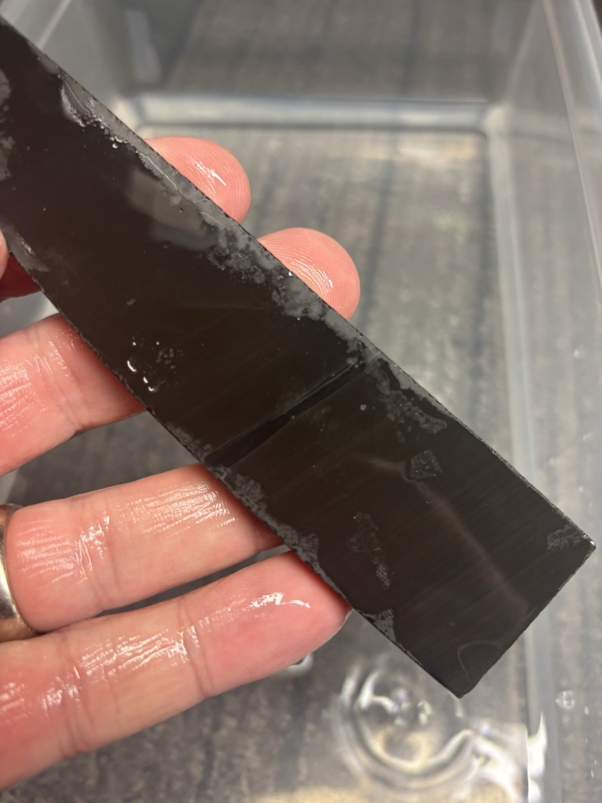 Black Butter With Black Band Obsidian Knife Blade Flint Knapping Preform Blank