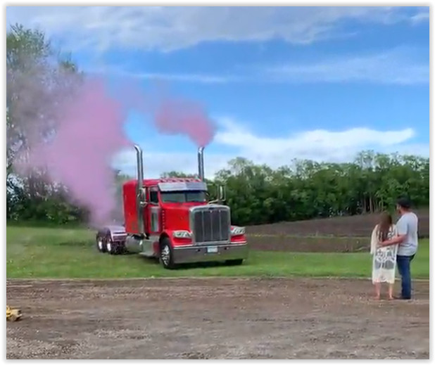 Color Blaze Gender Reveal Powder - 10 lbs Pink - for Baby Girl Announcement