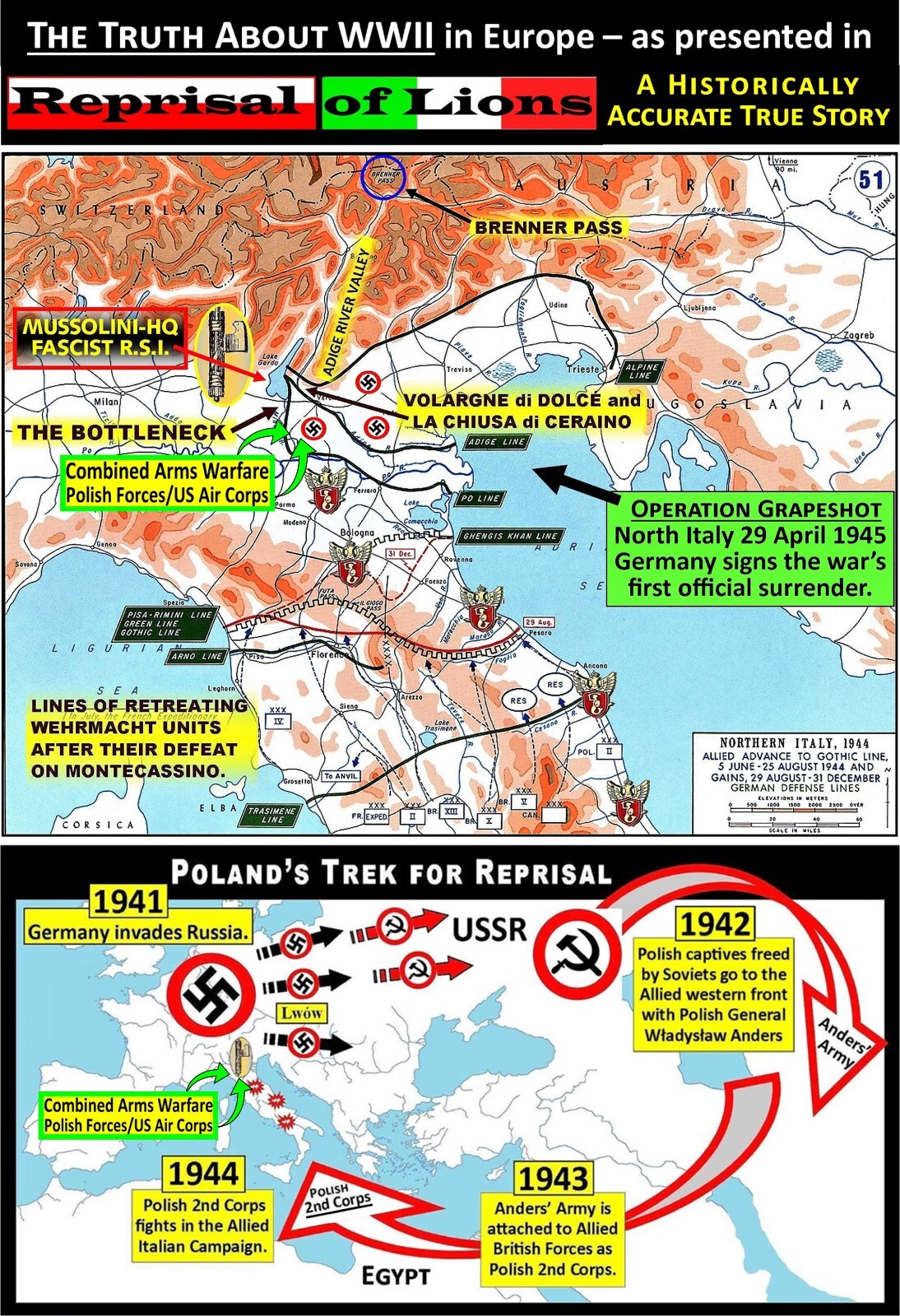 VENEZIA TRIDENTINA 1919 AUSTRIA OCCUPATION - 12 EXCELLENT MINT STAMPS VLH/OG -C2